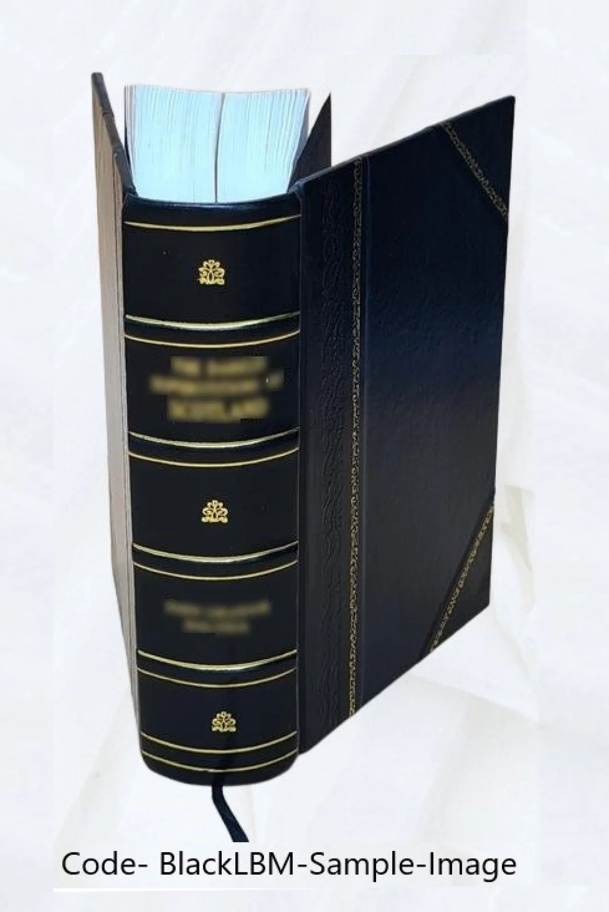 La temi : giornale di legislazione e di giurisprudenza. Volume v.7 (1859) 1859 [Leather Bound]