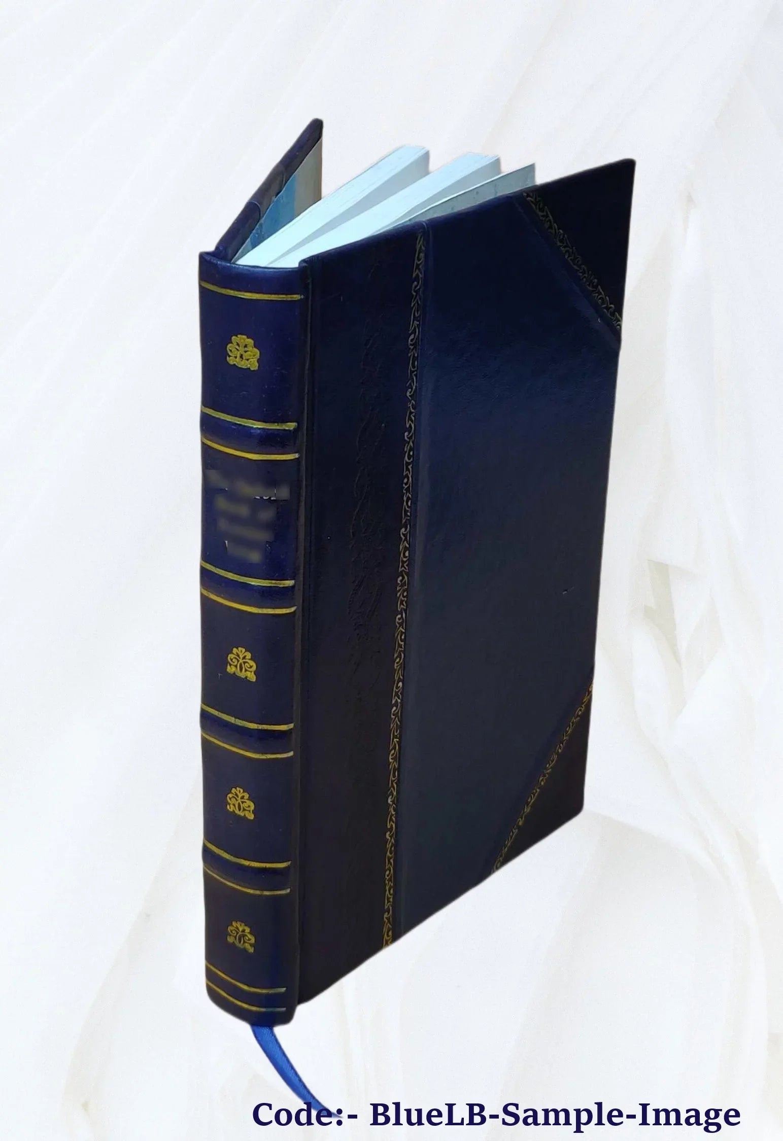 Curious family history : or, Ireland before the union: including Lord Chief Justice Clonmell's unpublished diary. A sequel to the sham squire and the informers of 1798 1880 [Leathe
