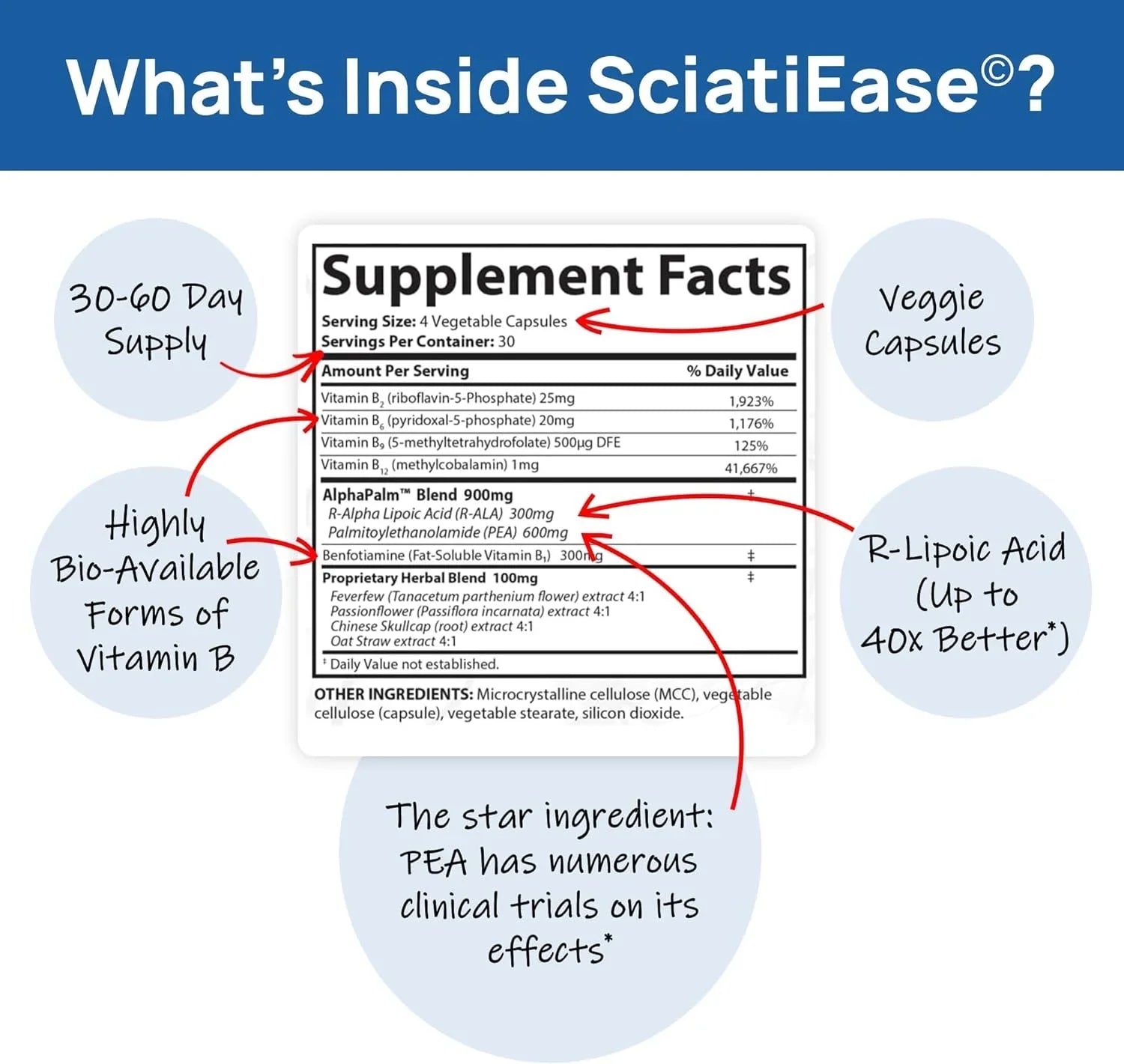 SciatiEase Sciatic Nerve Health Support - Supplement with AlphaPalm, Pea, Vitamin B Complex, Alpha Lipoic Acid 300mg - 120 Capsules - Nerve Support Formula
