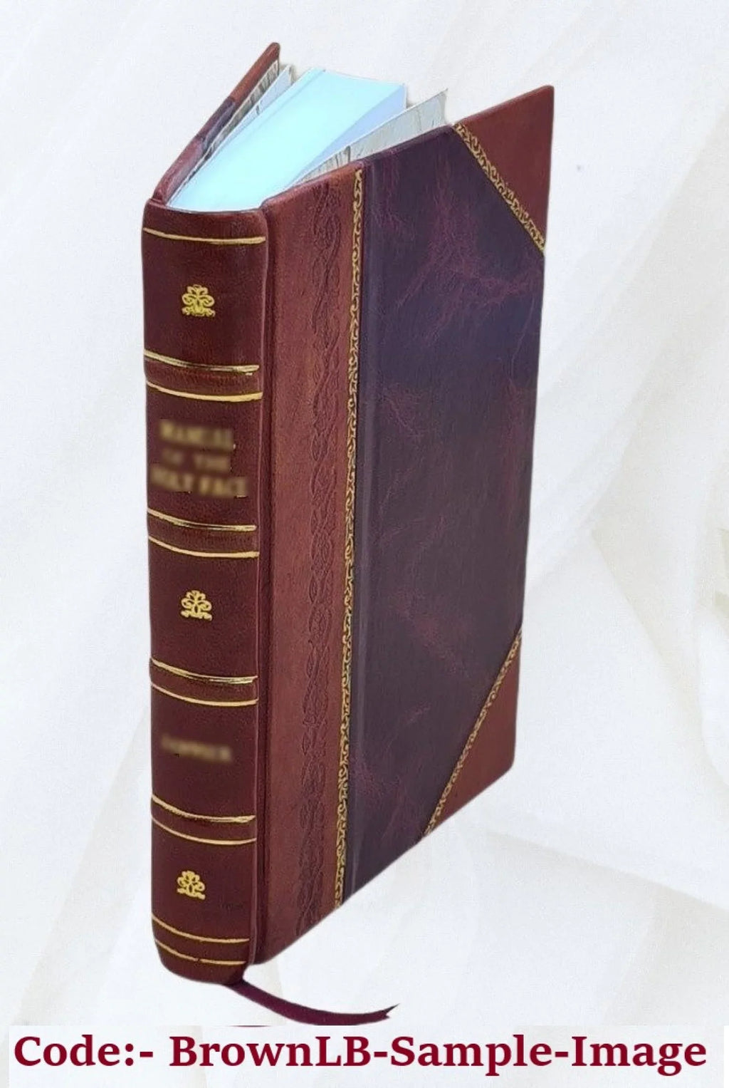Digest of one-hundred selected health and insurance plans under collective bargaining. Volume 1958 1958 1958 [Leather Bound]