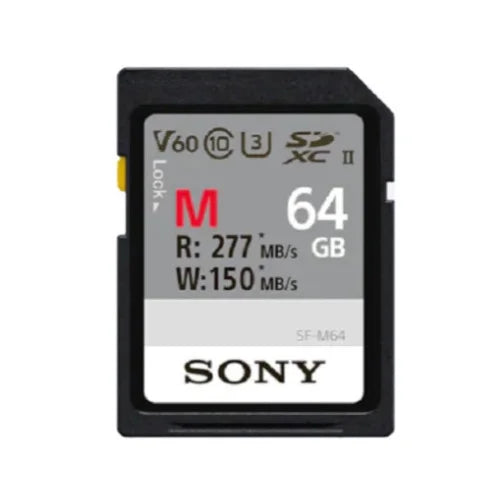 Sony Alpha a6600 APS-C Mirrorless Camera (Body Only) with Accessories Bundle