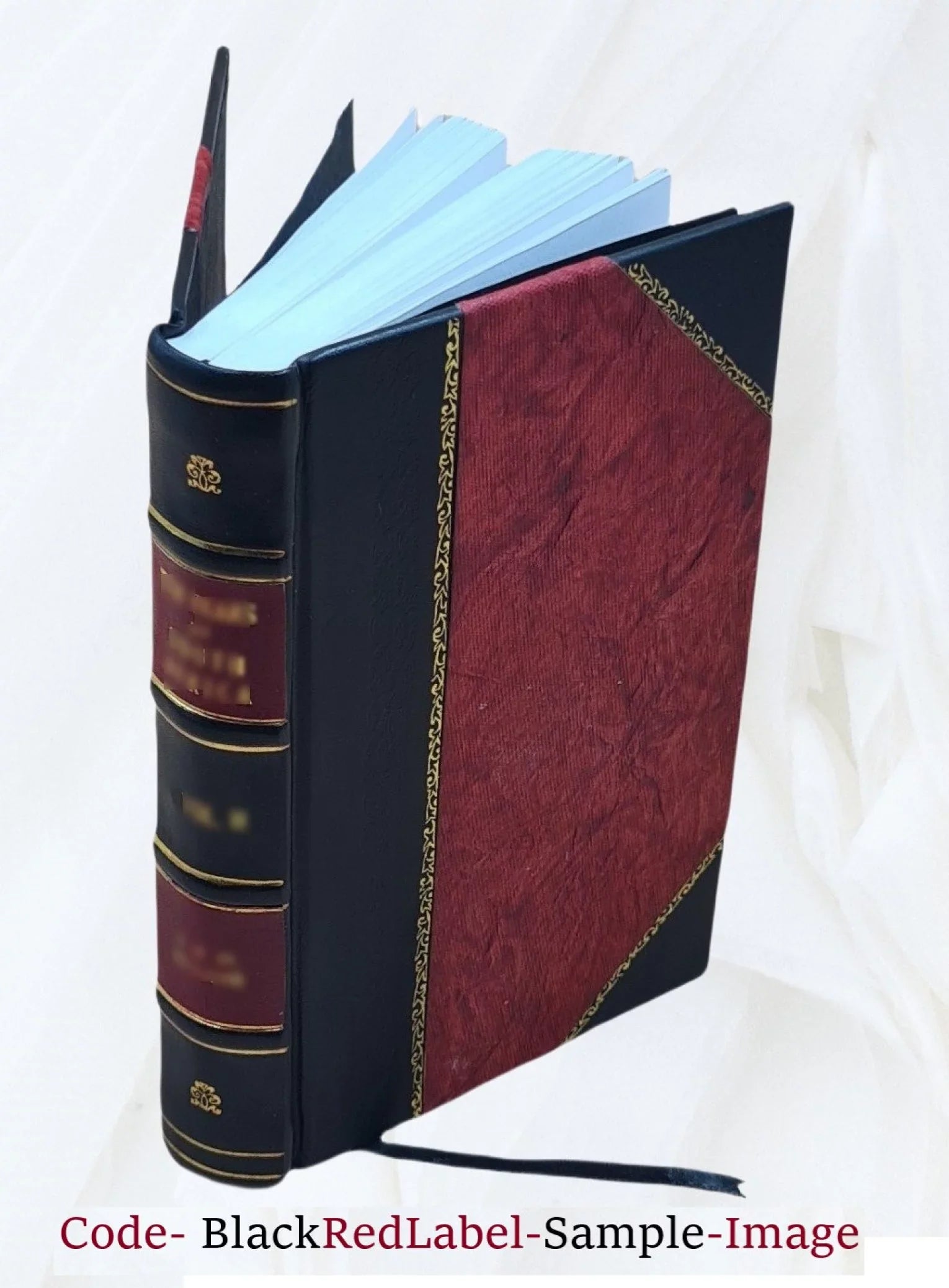 Back-bone; photographed from "The Scalpel." By Edward H. Dixon ... 1866 [Leather Bound]