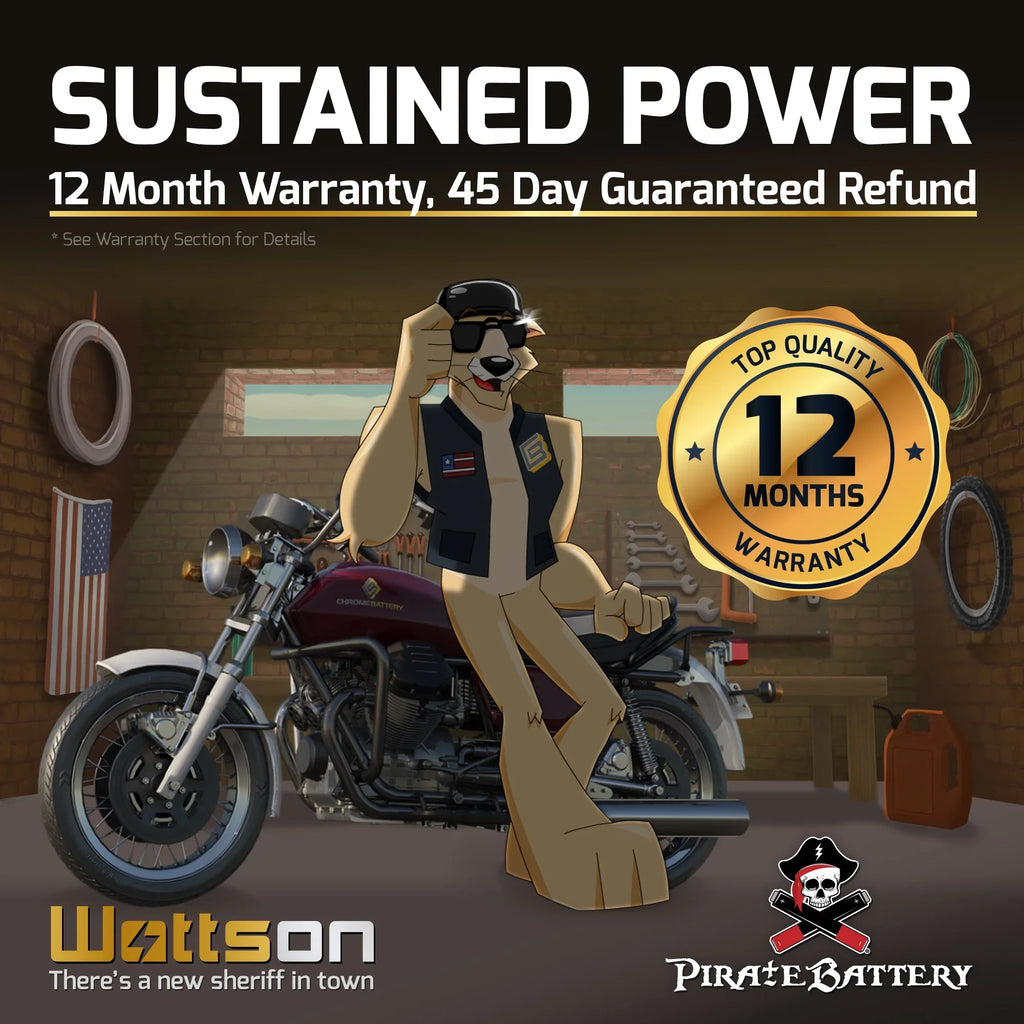 Pirate Energy Source YTX14-BS (14-BS 12 Volt,12 Ah, 200 CCA) Motorcycle Energy Source for Kawasaki 800cc Vn800-a, B, C, E Vulcan, Classic, Drifter 1995