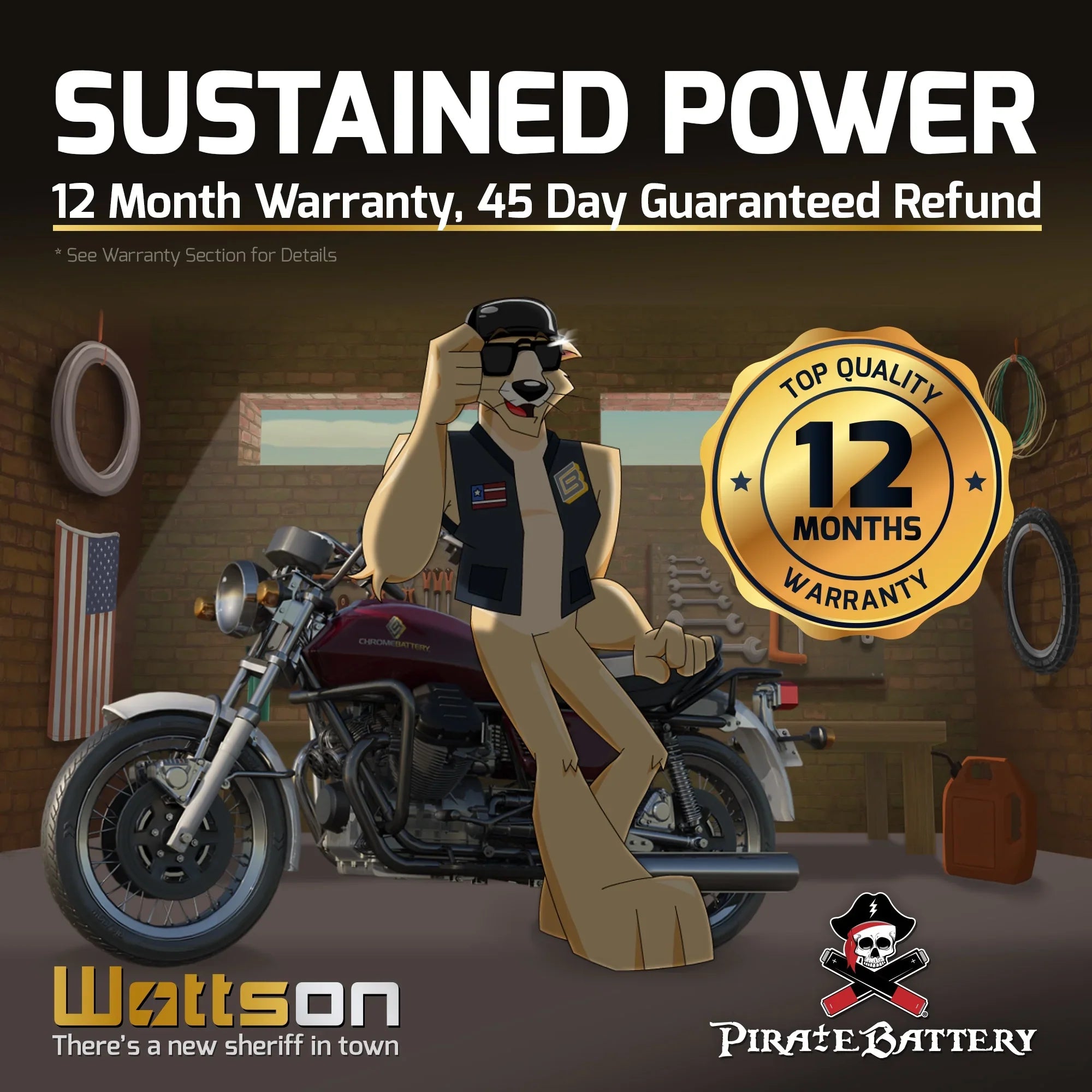 Pirate Energy Source YTX14-BS (14-BS 12 Volt,12 Ah, 200 CCA) Motorcycle Energy Source for Kawasaki 800cc Vn800-a, B, C, E Vulcan, Classic, Drifter 1995