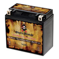 Pirate Energy Source YTX14-BS (14-BS 12 Volt,12 Ah, 200 CCA) Motorcycle Energy Source for Kawasaki 800cc Vn800-a, B, C, E Vulcan, Classic, Drifter 1995