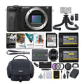 Sony Alpha a6600 APS-C Mirrorless Camera (Body Only) with Accessories Bundle