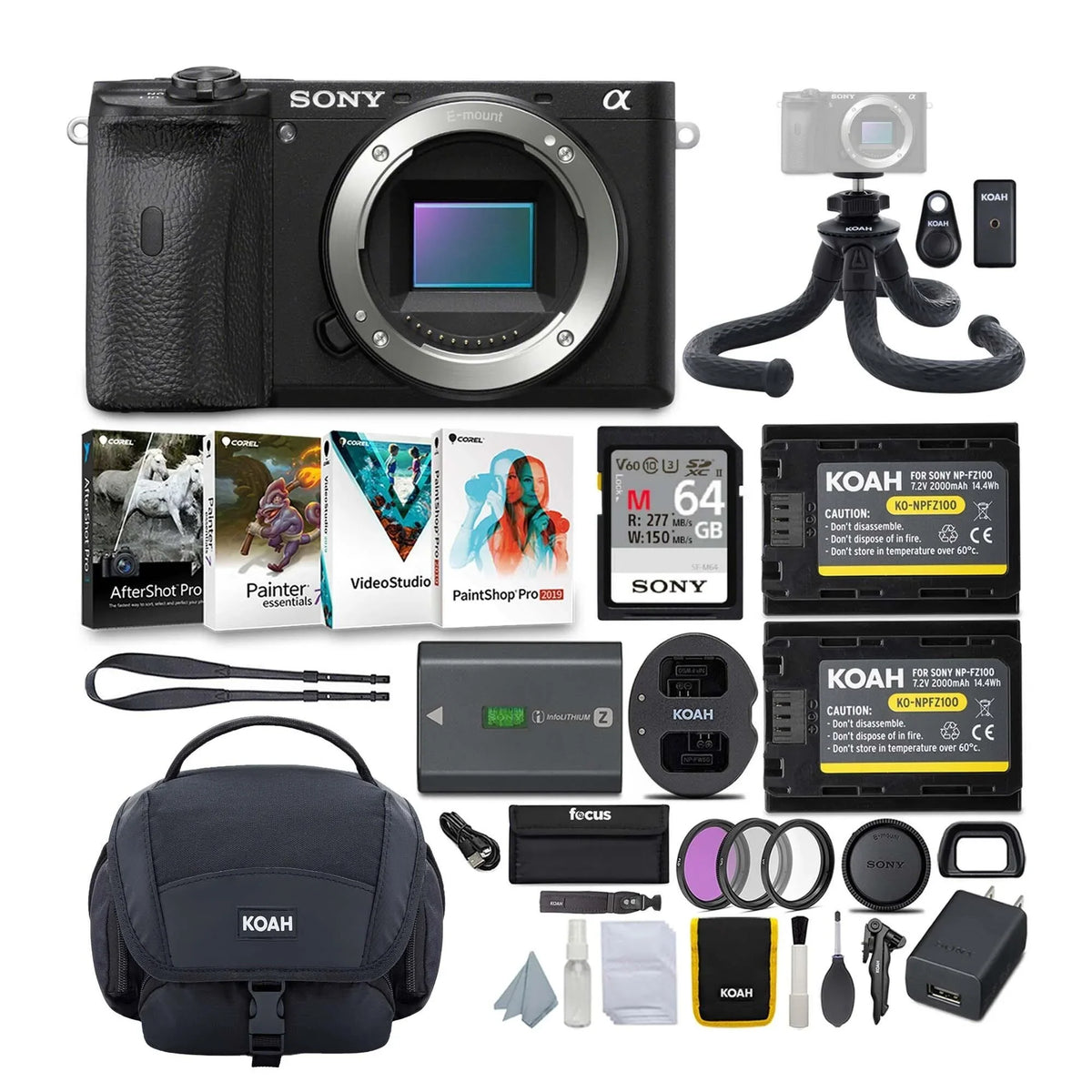 Sony Alpha a6600 APS-C Mirrorless Camera (Body Only) with Accessories Bundle