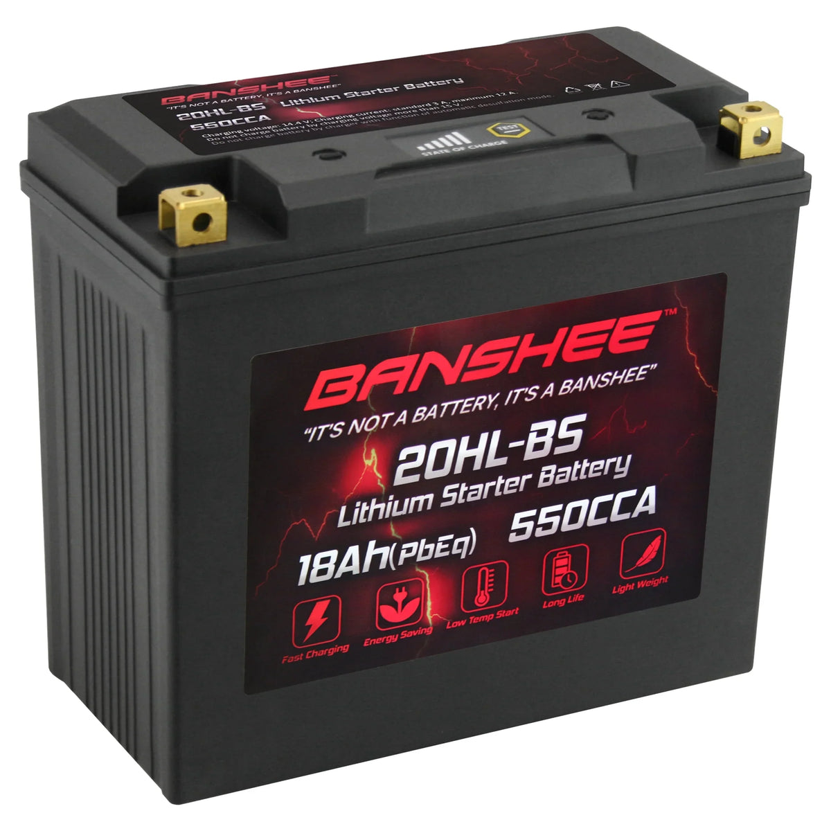 Banshee YTX20L-BS LiFePO4 Motorsports Power Unit Compatible with Yamaha EX1050 EXR 2019 to 2019
